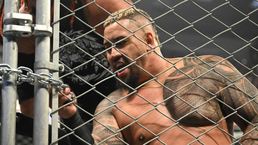 WWE Survivor Series: WarGames (2024)