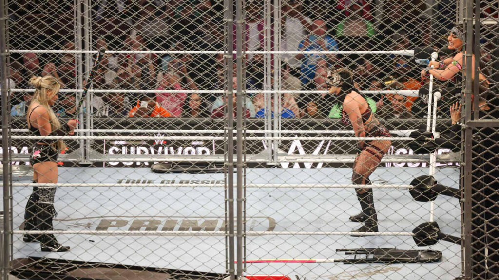 WWE Survivor Series: WarGames (2024)