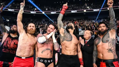 WWE Survivor Series: WarGames (2024) Results: Winners, Ratings, and Highlights - Brain X Pedia