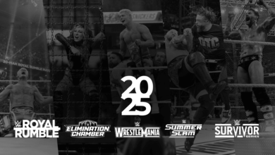 Calendar Article for all WWE PLEs in 2025 - Brain X Pedia